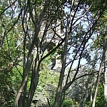 Sierpień 2009 wieża widokowa
